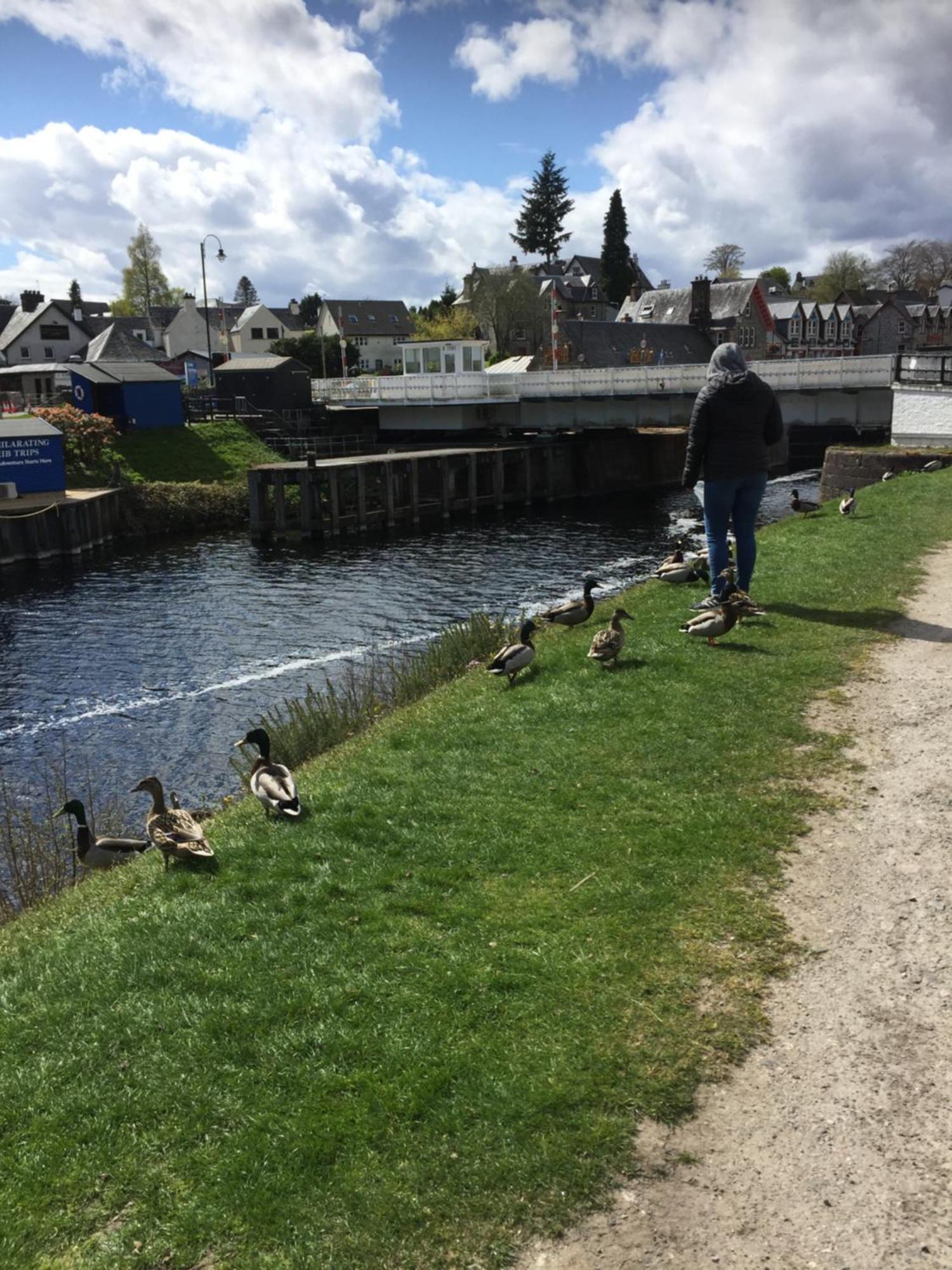 Cameron Apartment Loch Ness Fort Augustus Dış mekan fotoğraf