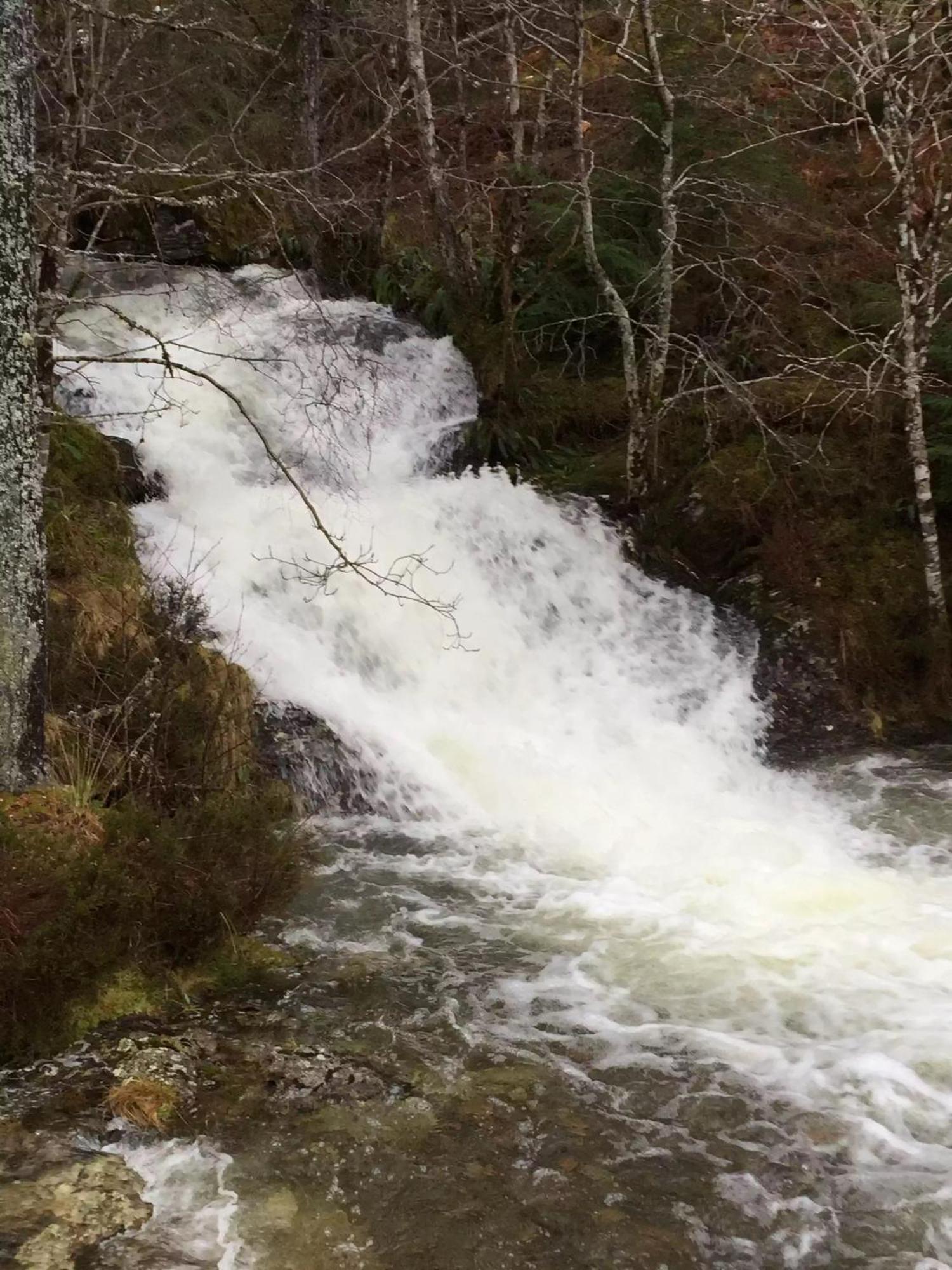 Cameron Apartment Loch Ness Fort Augustus Dış mekan fotoğraf